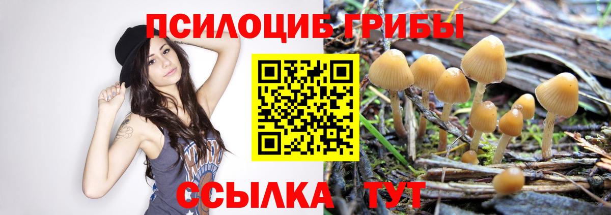Галлюциногенные грибы мухоморы  Вход с VPN  Аша 